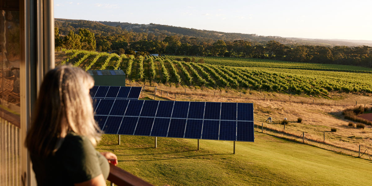 How tech is driving sustainability in the South Australia’s wine industry ～テクノロジーはサステナビリティ向上への道のりをどう加速するか～